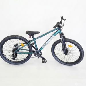 BIANCHI XR